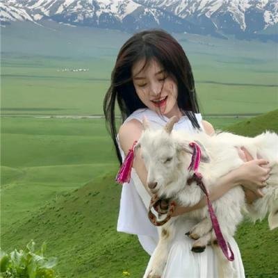吉姆科学秀